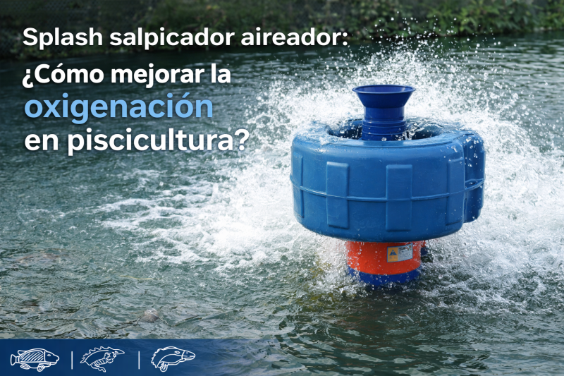 Splash salpicador aireador: &iquest;C&oacute;mo mejorar la oxigenaci&oacute;n en piscicultura?