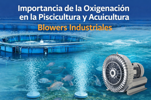 Importancia de la oxigenaci&oacute;n en la piscicultura y acuicultura: el rol de los blowers industriales