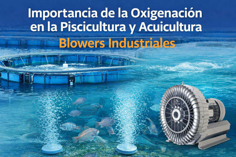 Importancia de la oxigenaci&oacute;n en la piscicultura y acuicultura: el rol de los blowers industriales