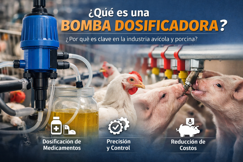Qu&eacute; es una bomba dosificadora y por qu&eacute; es clave en la industria av&iacute;cola y porcina